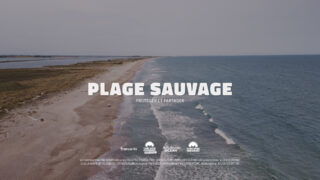 Plage sauvage Protéger et partager